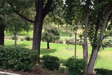Eisenhower Dog Park